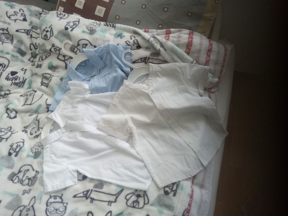 Koszule dla chłopca Feragamo