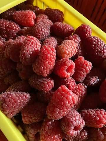 Maliny na soki przetwory