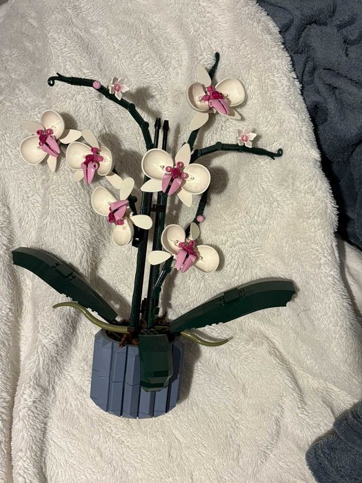 kwiaty storczyk orchidea klocki