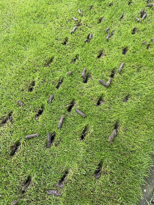 Aeracja Rurkowa, Wertykulacja, Regeneracja Trawnika