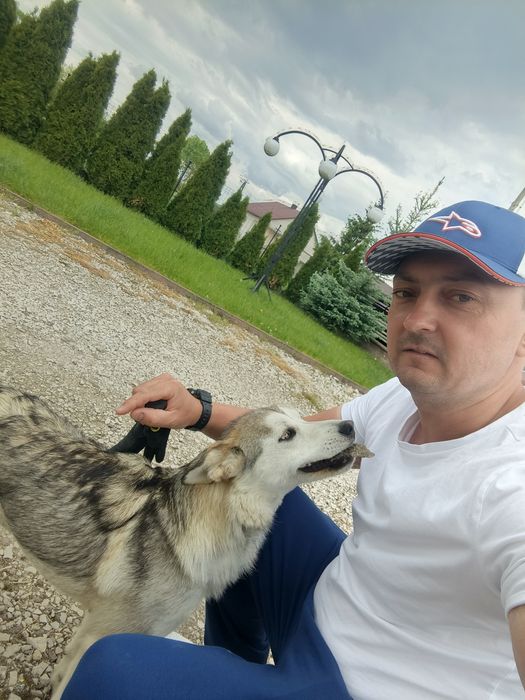 Oddam w dobre ręce