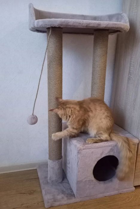 Когтеточка домик для котов