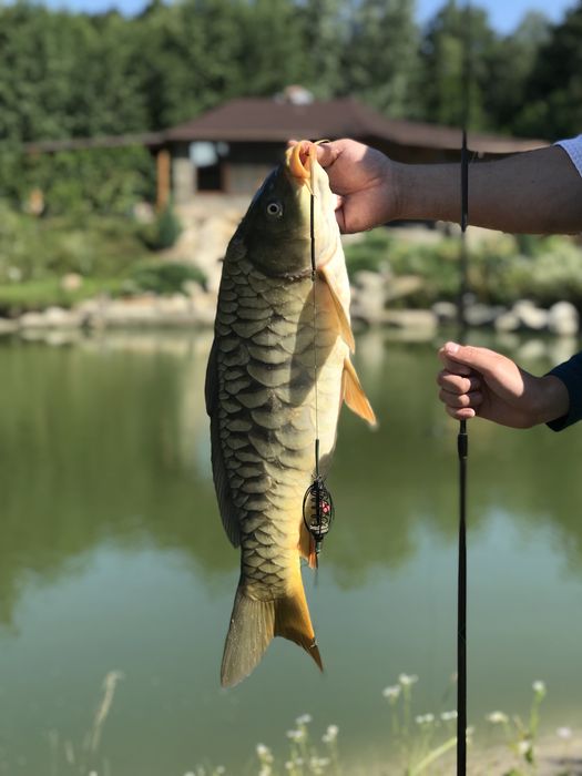 Дом в лесу на озере с камином под Киевом. Всегда есть свет и интернет.