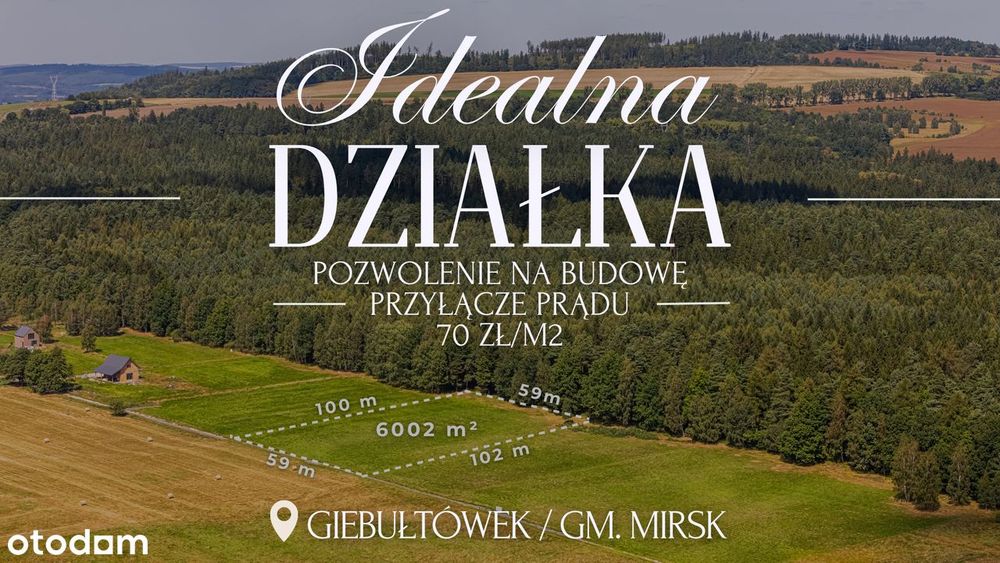 Działka przy lesie z widokiem na Świeradów Zdrój(Mirsk/Leśna/Wolimierz