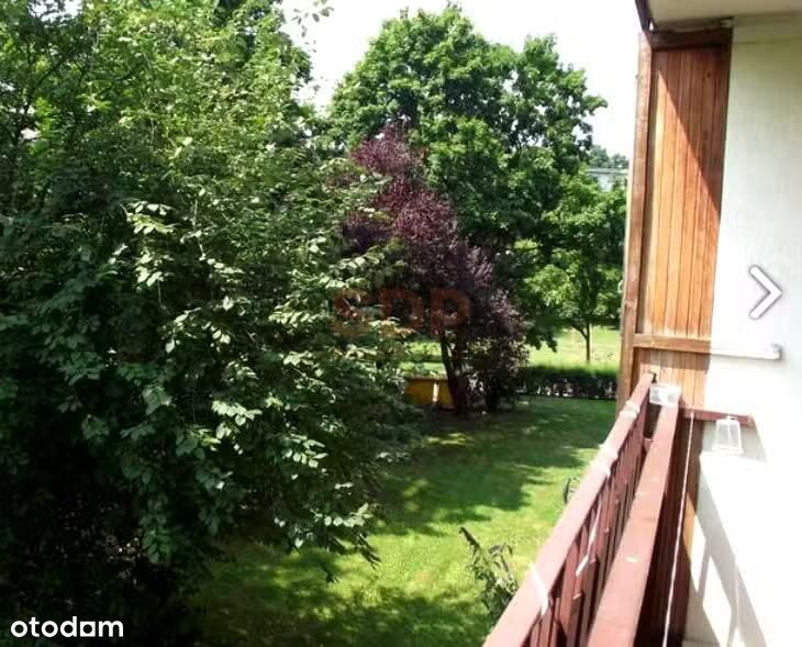 Słoneczne 3 pokojowe  / oddzielna kuchnia / duży balkon / piwnica