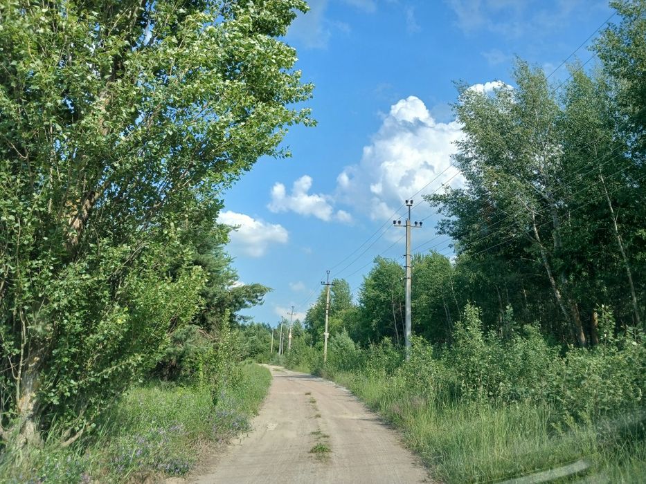 125 соток з соснами, власна водойма, прямий вихід до лісу Мотижин