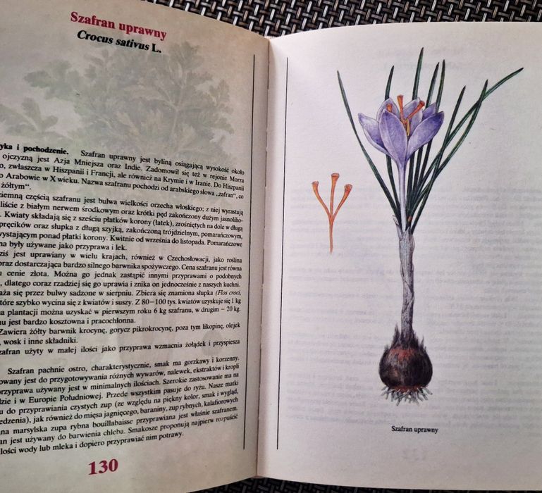 Rośliny żródłem przypraw