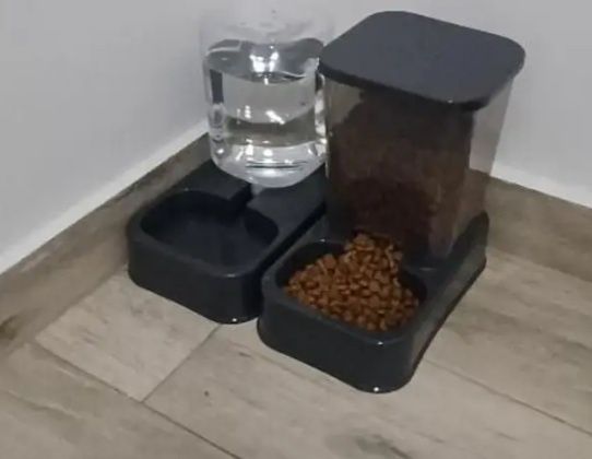 2 tacas para animas