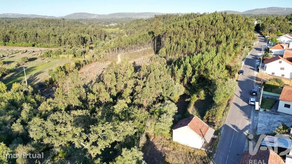 Terreno para construção em Pelariga