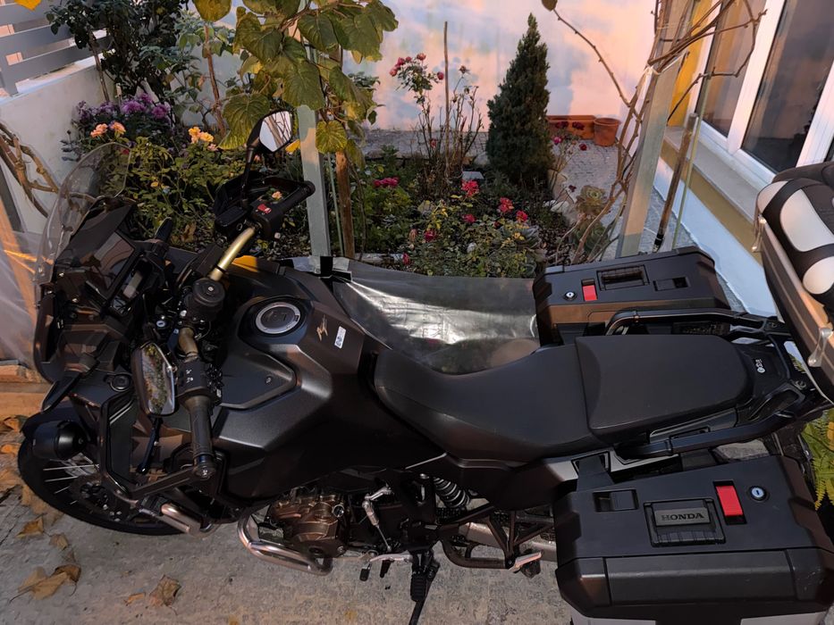 África Twin Adventure 2024