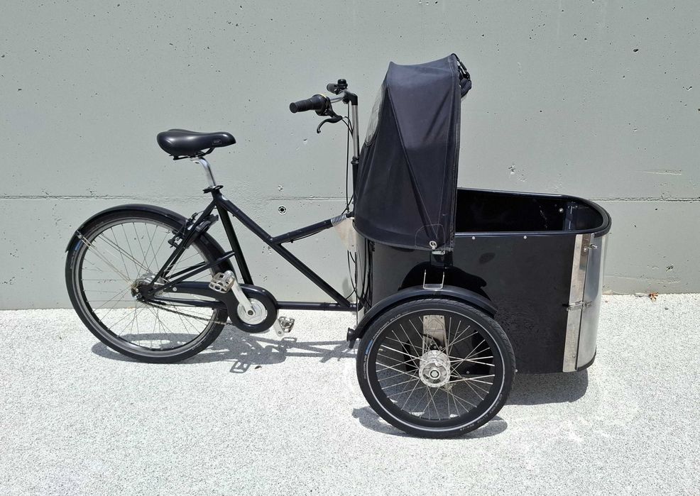 Bicicleta triciclo de carga  crianças Nihola