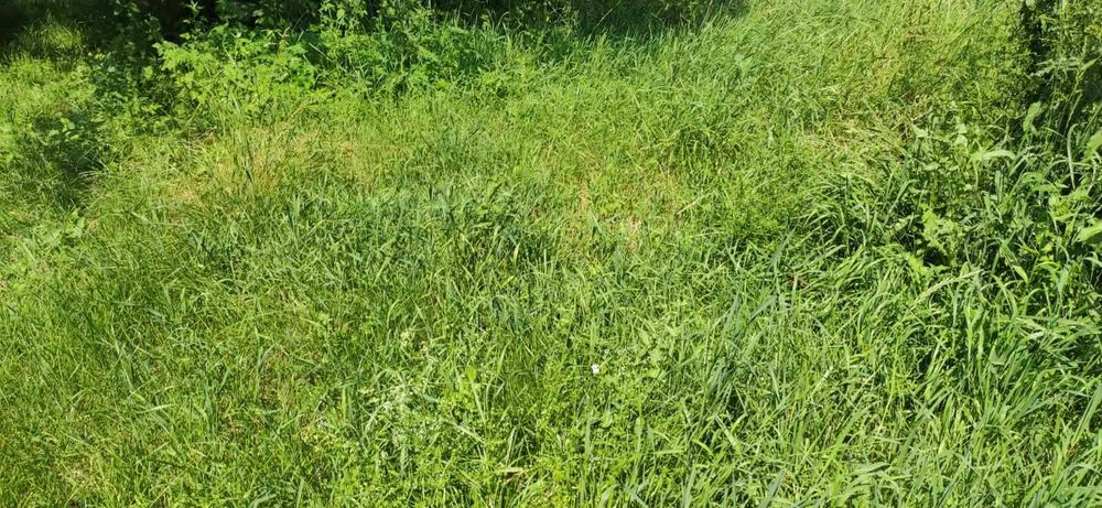 (3) Продам земельну ділянку в с. Сальник 0925