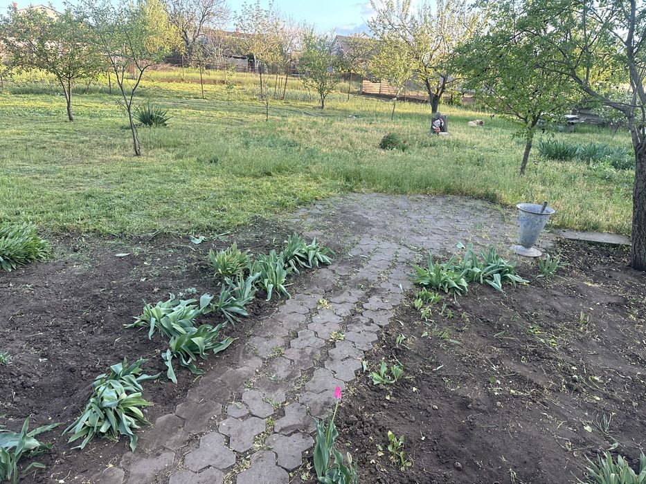 Продаж житлового будинку