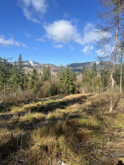 Продам земельну ділянку Слаське 25 сотих під будівництво