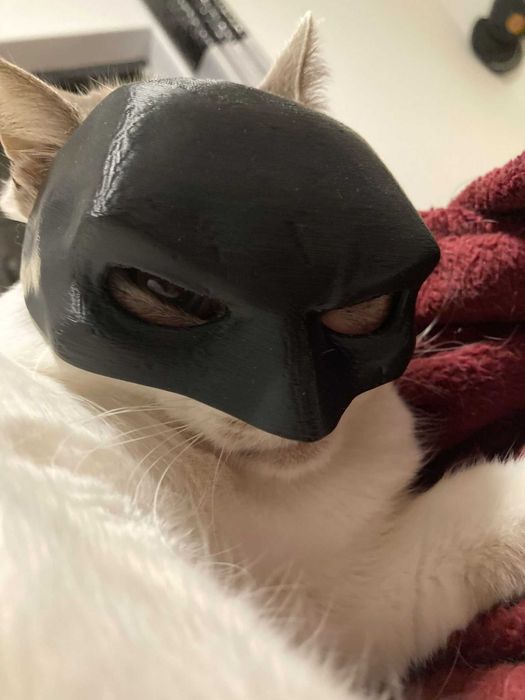 Máscara Batman para Gatos ou Cães