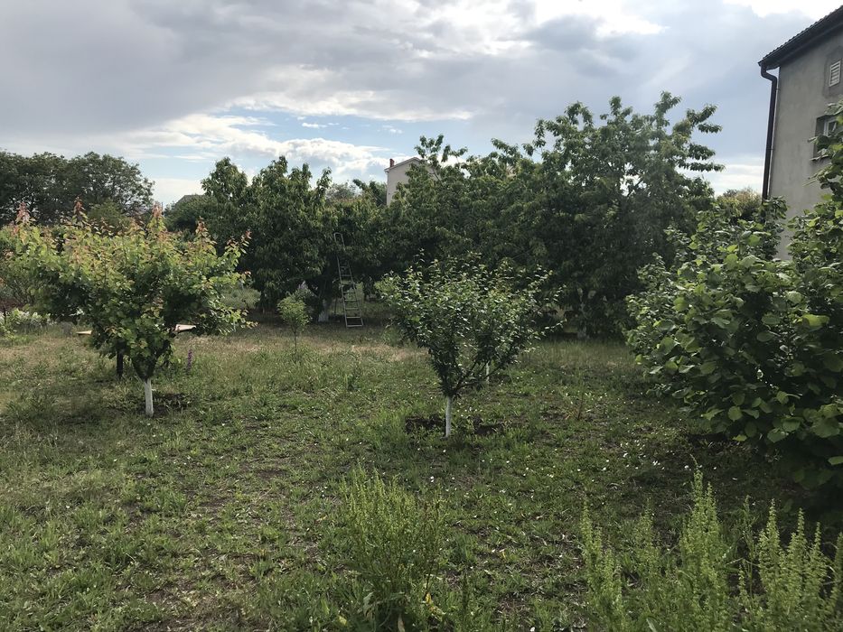 Продам Автомойка,Шиномонтаж,Шашлычная Дом и земля 21 со