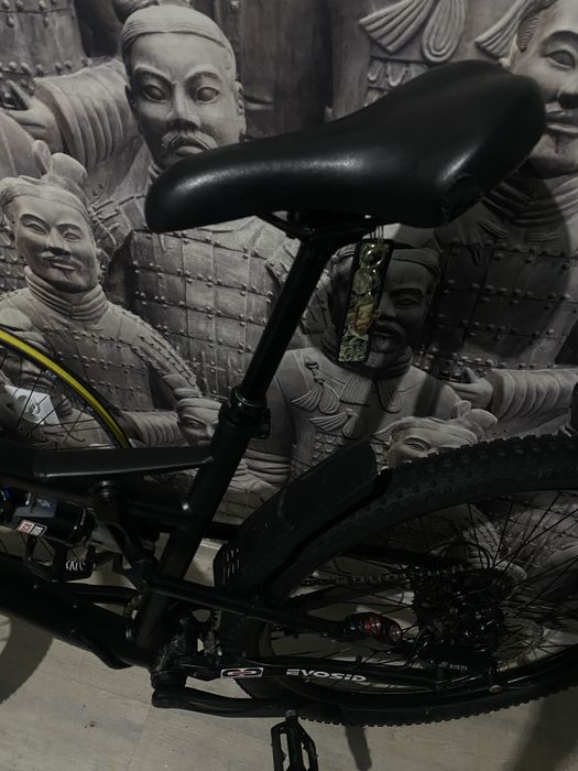 Rower musing petrol 3