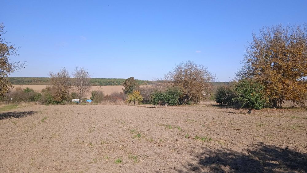 Хата в Жерденівці