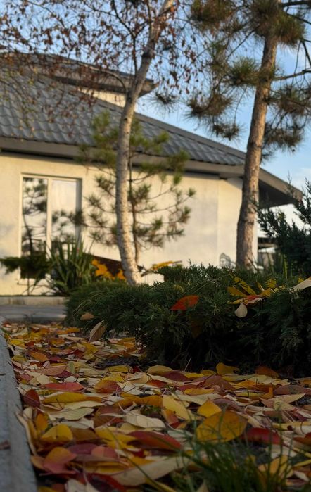 Будинок для 2-4 гостей подобово