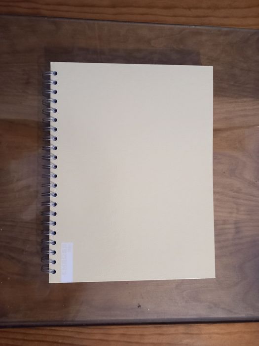 Cadernos (varias cores)