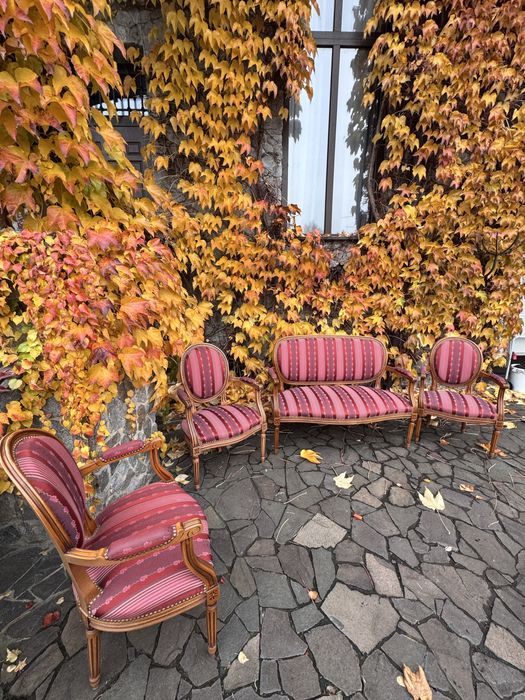 Антикварний набір меблів в стилі Людовика