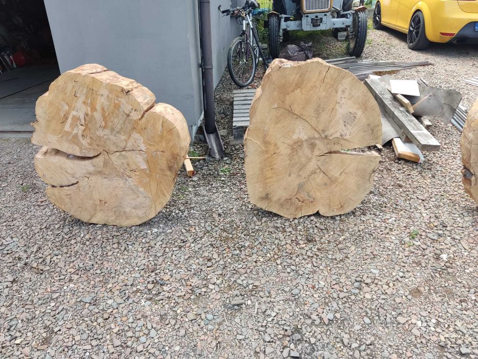 Plastry bukowe duże.