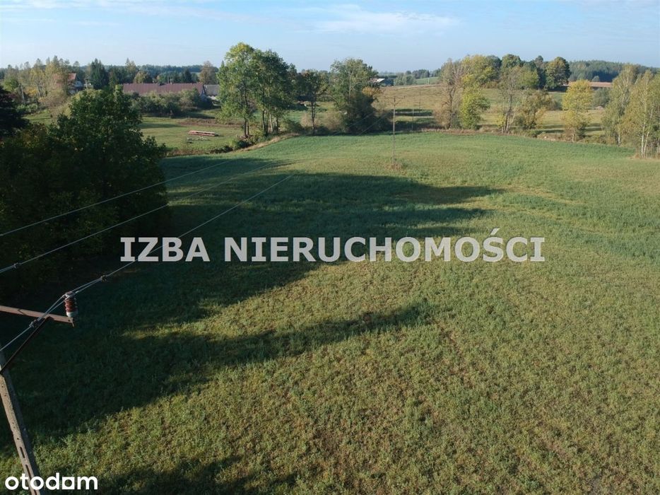 Działka, Bienie