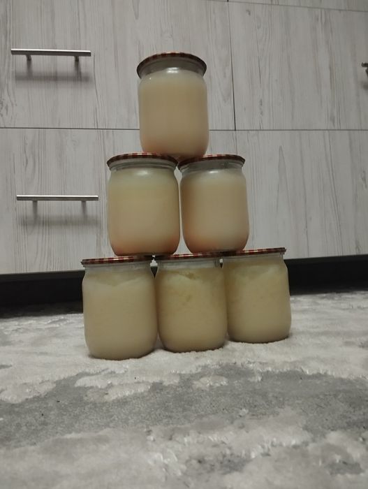 Продам борсуковий жир