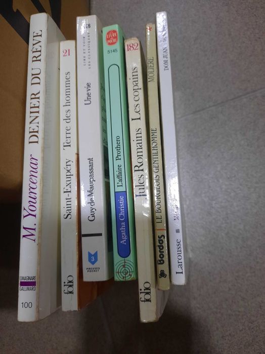 Livros de literatura francesa