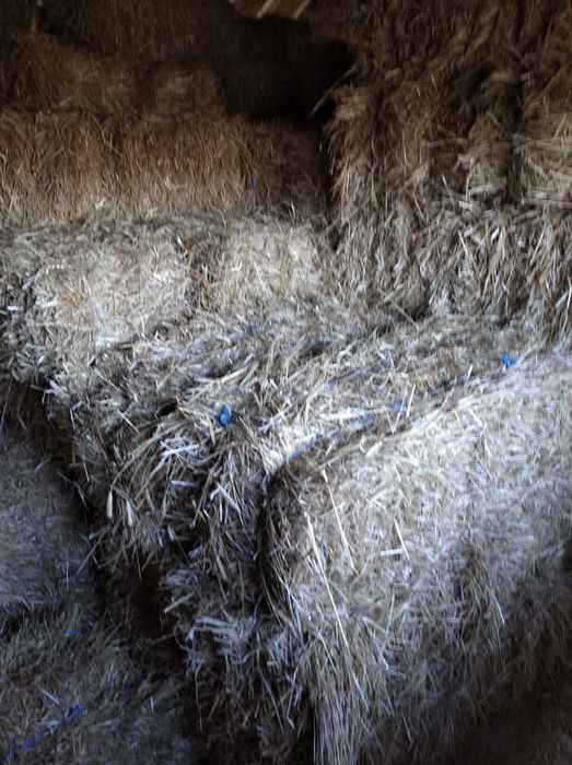 FARDOS DE PALHA pequenos retangulares