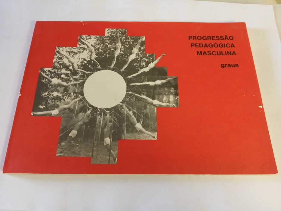 Progressão Pedagógica Masculina - Graus Ginástica