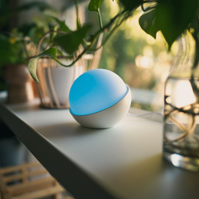 Glowcose - system monitorowania cukru