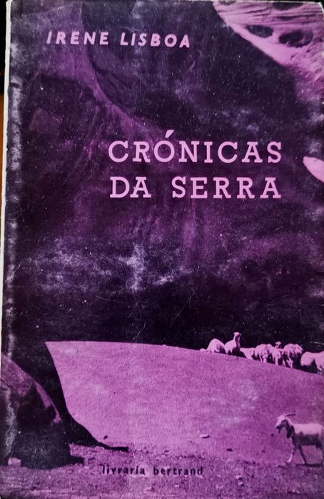 Crónicas da Serra Irene Lisboa, NOITE ABERTA AOS QUATRO VENTOS Casais