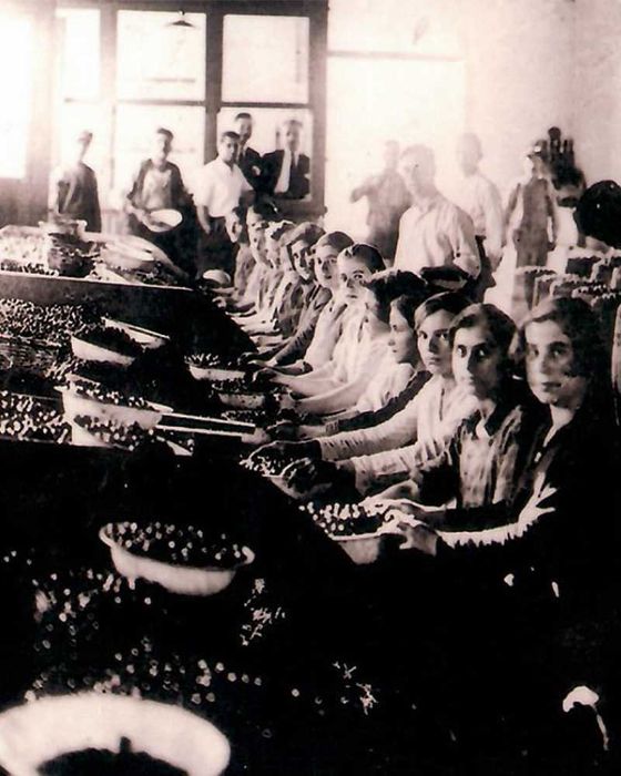 Oliwa z oliwek Virgin Olive Oil | GRECKA | Premium 1l