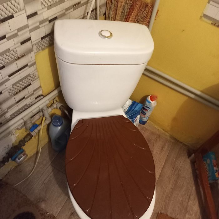 3/5 будинку та велика земельна ділянка