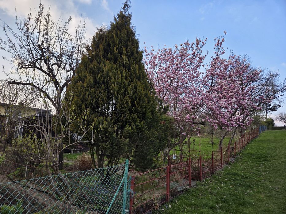 Działka ROD Magnolia Bielsko-Biała - Widok 4