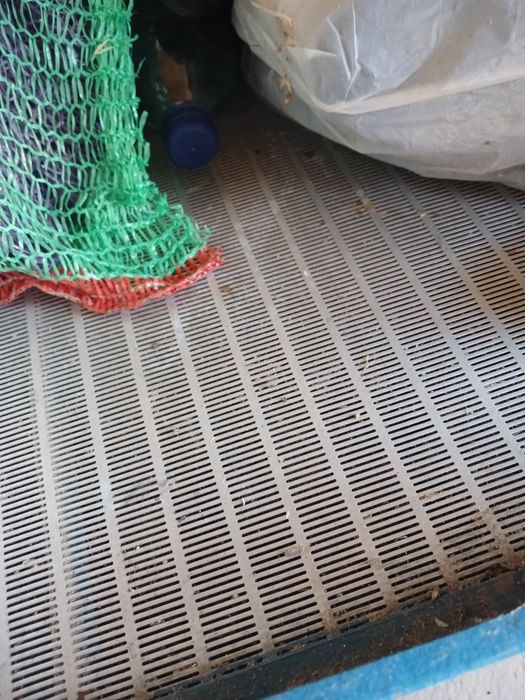 продам станок для калібровки ядра грецькогогоріха