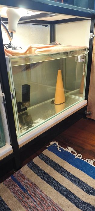 Aquários iguais 2.  100L cada um