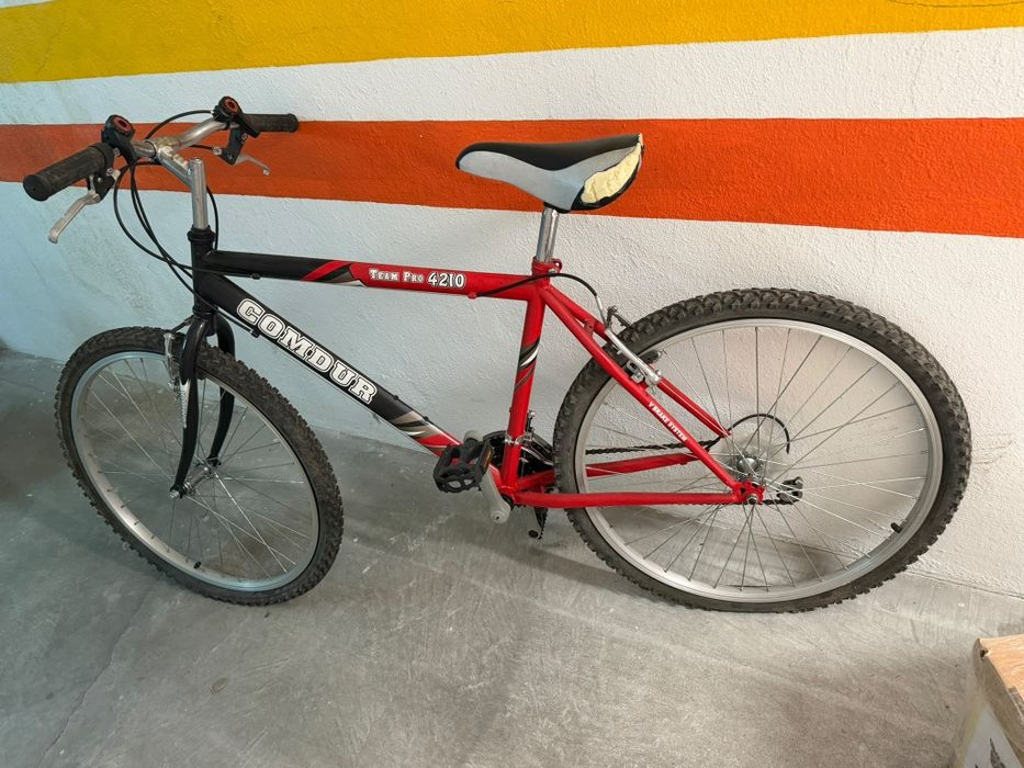 Bicicleta usada TEAM PRO 4210