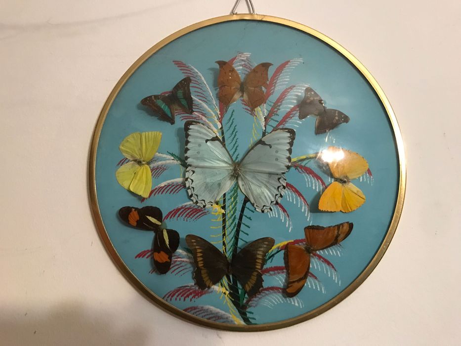 Moldura com borboletas