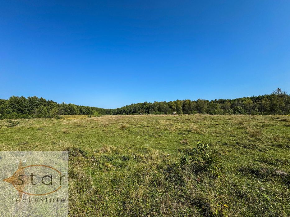 Продаж землі у Седневі  2,15 га поруч з Кротовим озером та р. Снов