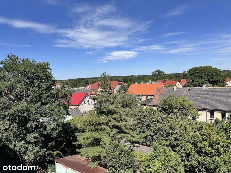 Dwupokojowe mieszkanie z balkonem i piwnicą