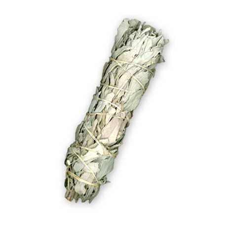 Tocha Sálvia Branca da Califórnia