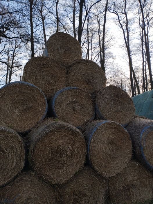 Sprzedam słomę w belach