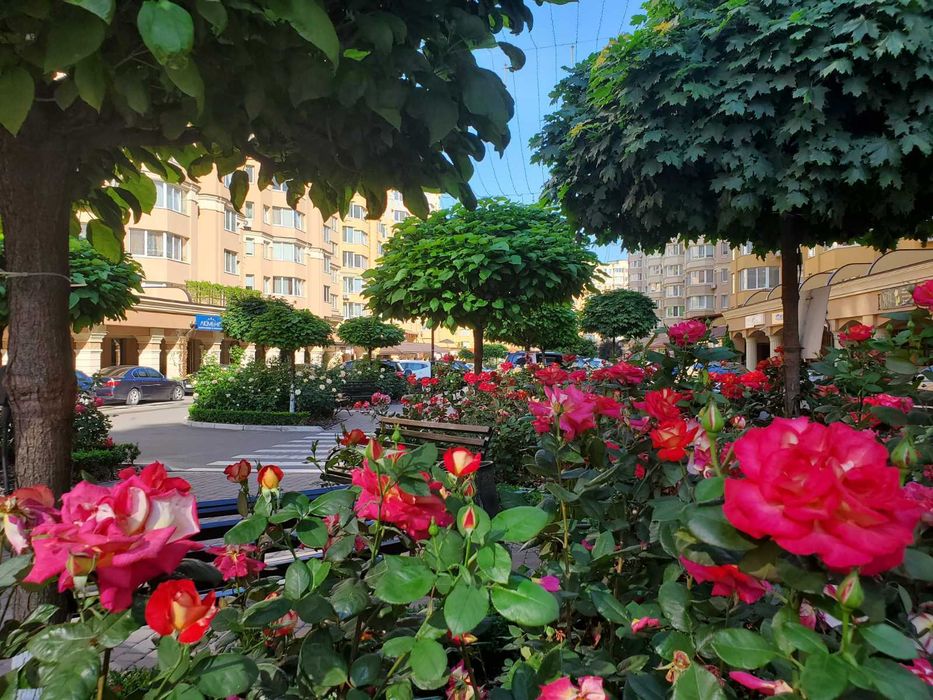 Оренда однокімнатної квартири 3 поверх в ЖКСофия Сіті Миру 31