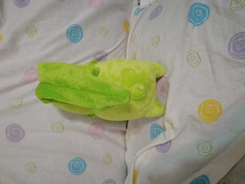 Pokémon peluche chikorita