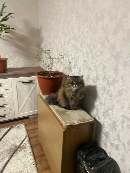2 кімнатна квартира в центрі!!!