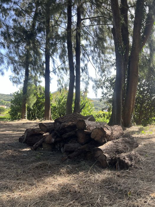 Dá-se lenha a quem vier buscar