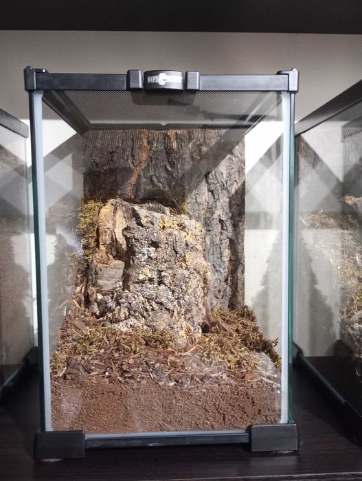 Terrarium 20-20-30 Repti Planet