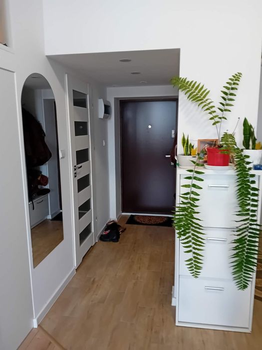 Słoneczne mieszkanie na sprzedaż